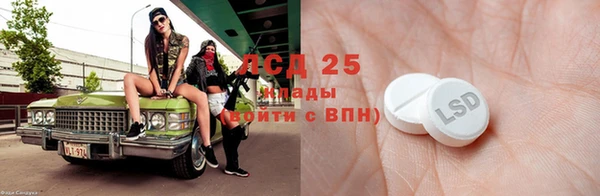 ешки Новодвинск