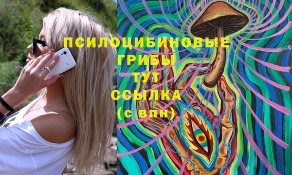 ешки Новодвинск