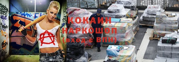 ешки Новодвинск