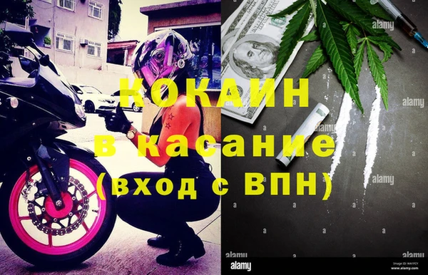 ешки Новодвинск