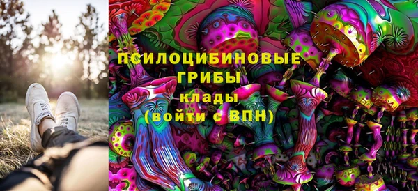 твердый Новокубанск