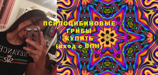 твердый Новокубанск