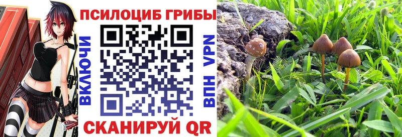 Купить  Лабинск  Галлюциногенные грибы прущие грибы 
